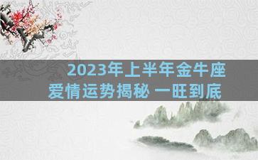 2023年上半年金牛座爱情运势揭秘 一旺到底